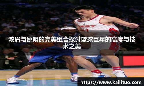 浓眉与姚明的完美组合探讨篮球巨星的高度与技术之美