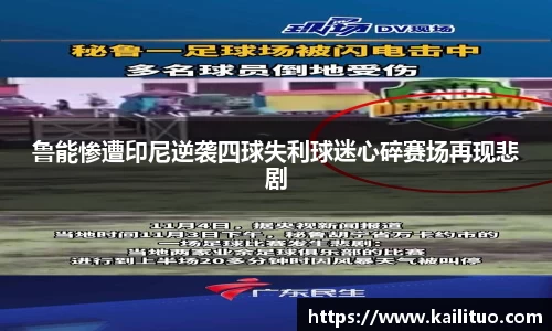 牛八体育与球迷为一体