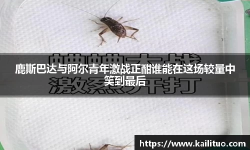 鹿斯巴达与阿尔青年激战正酣谁能在这场较量中笑到最后