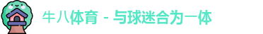⽜⼋体育